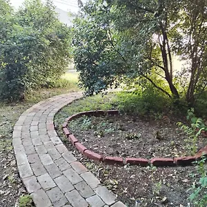 Garden In The Center Apartment